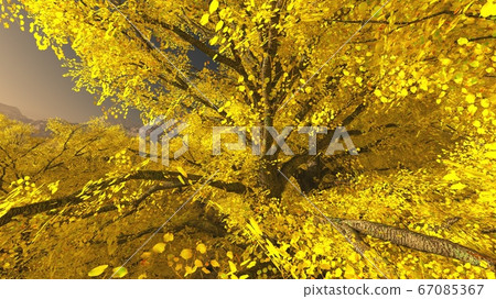 Aspen valley in Colorado during Autumn Aspen valley in Colorado during Autumn 67085367