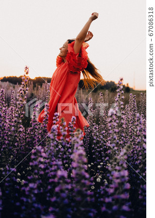 Young pretty woman wearing red dress posing in fields with violet flowers outdoor 67086318