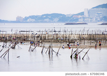 Higashihatazu Coast, Nishio City, Aichi Prefecture 67086346
