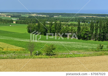 From the observation deck on the way to heaven, on the wheat field, the Sea of Okhotsk 67087020