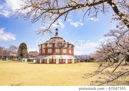 [Hokuto City, Yamanashi Prefecture] Kiyoharu Art Village and La Ruche in full bloom 67087305