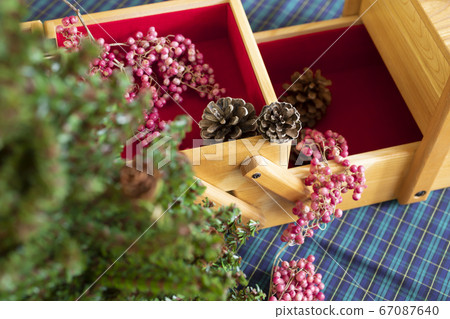 Pine cones: Winter image 67087640