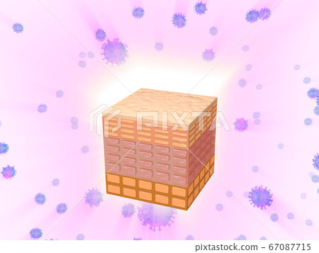 皮膚病毒塊保護衛兵 67087715