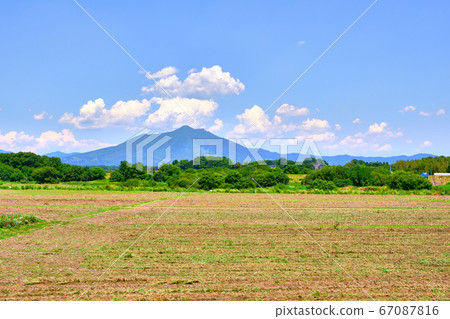 6月12日中午，茨城縣下草市小垣川花卉公園的筑波山 67087816