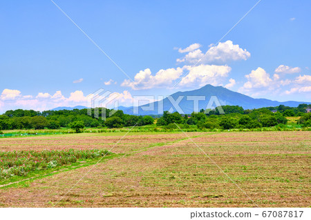 6月12日中午,茨城縣下草市小垣川花卉公園的筑波山 6月12日中午,茨城縣下草市小垣川花卉公園的筑波山 67087817