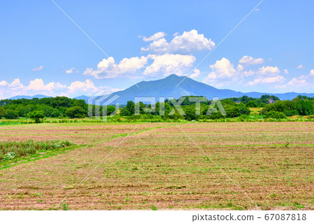 6月12日中午,茨城縣下草市小垣川花卉公園的筑波山 6月12日中午,茨城縣下草市小垣川花卉公園的筑波山 67087818