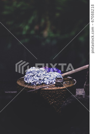 下地寺的繡球花 下地寺的繡球花 67088218