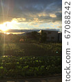 夏日的早晨 67088242