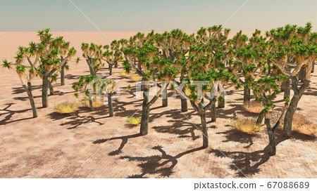 Joshua Tree National Park, USA 3d rendering 67088689