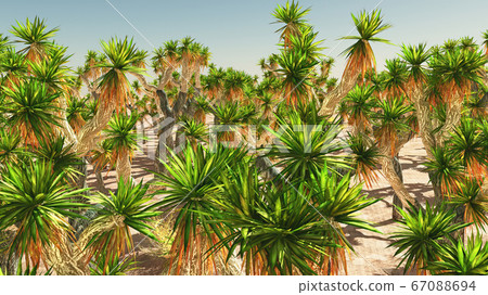 Joshua Tree National Park, USA 3d rendering 67088694