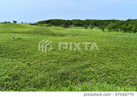 Sea of Okhotsk on the elevated wooden path to Shiretoko Lake 67088770