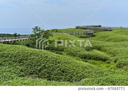 Sea of Okhotsk on the elevated wooden path to Shiretoko Lake Sea of Okhotsk on the elevated wooden path to Shiretoko Lake 67088771