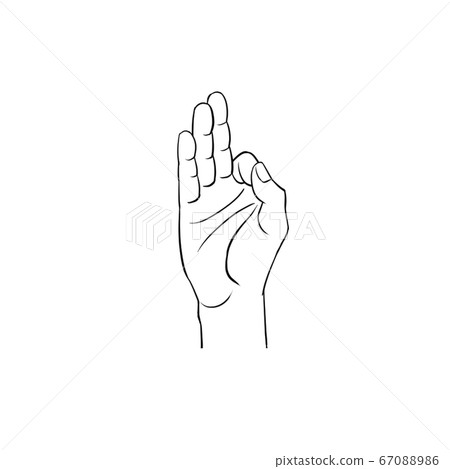 Hand illustration 01 67088986