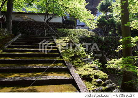 Tamunji Temple -A temple revived by Mitsuhide Akechi- Tamunji Temple -A temple revived by Mitsuhide Akechi- 67089127