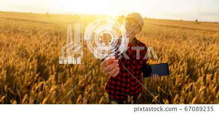 A woman farmer examines the field of cereals  67089235