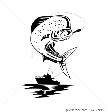 Mahi-mahi Dorado Dolphinfish Jumping Up With 67089950