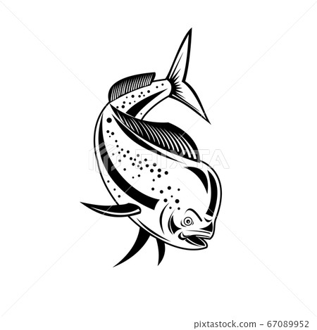 Mahi-mahi or Common Dolphinfish Diving Down Retro Mahi-mahi or Common Dolphinfish Diving Down Retro 67089952