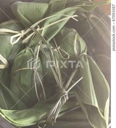 Bamboo dumpling 67091087