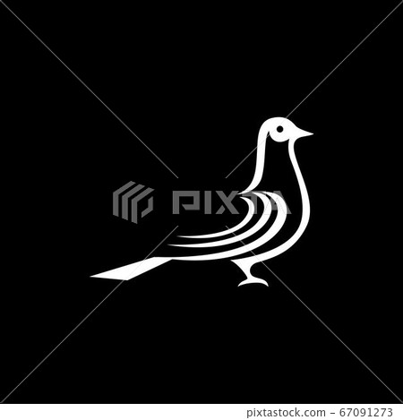 Bird wing Dove icon Template vector illustration 67091273