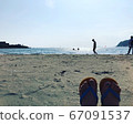 Summer Sea 67091537