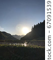 Paddy field 67091539