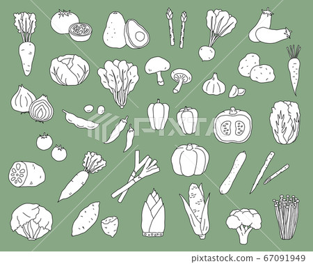 Hand-drawn vegetable illustration set/simple/fashionable/line drawing Hand-drawn vegetable illustration set/simple/fashionable/line drawing 67091949