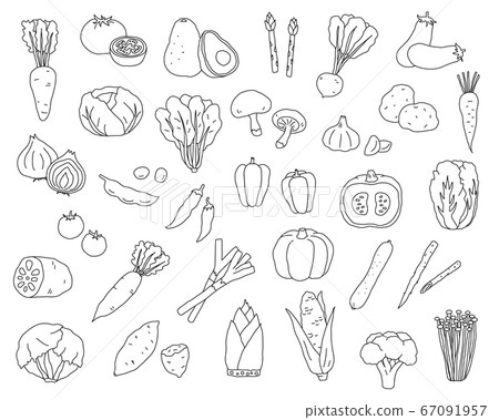 Hand-drawn vegetable illustration set/simple/fashionable/line drawing 67091957