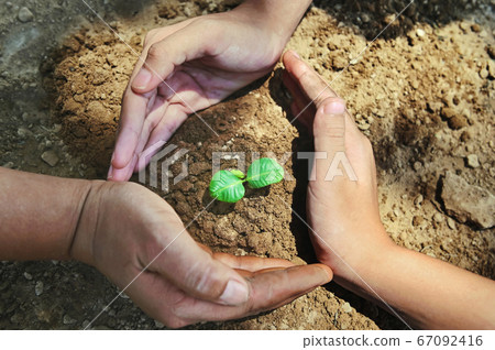 three hand protection and caring small tree on 67092416