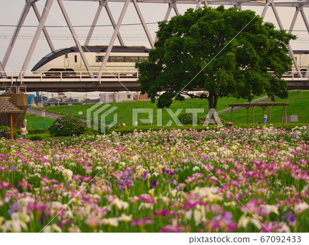 小岩鳶尾花園和京成線 小岩鳶尾花園和京成線 67092433
