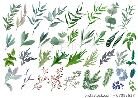 Huge set of watercolor leaves and branches, hand drawn Huge set of watercolor leaves and branches, hand drawn 67092637