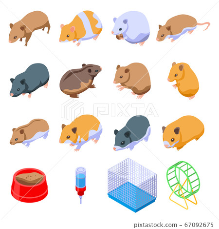 Hamster icons set, isometric style 67092675