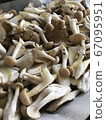 mushroom  67095951