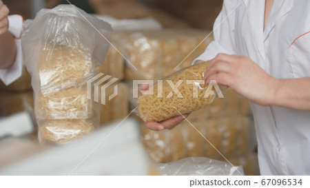 Workers packaging raw macaroni from the production line in a pasta manufactury Workers packaging raw macaroni from the production line in a pasta manufactury 67096534