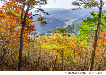 從西土堂山關西百明山到和田山町(兵庫縣朝來市和田山町)的秋葉景色 從西土堂山關西百明山到和田山町(兵庫縣朝來市和田山町)的秋葉景色 67096699