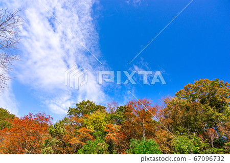 從關西百明山和東古古山步道(兵庫縣朝來市和田山町)看的秋景*照片位於註釋部分 從關西百明山和東古古山步道(兵庫縣朝來市和田山町)看的秋景*照片位於註釋部分 67096732