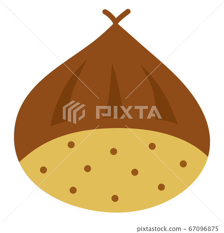 One cute chestnut - Stock Illustration [67096875] - PIXTA