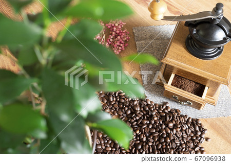 一系列咖啡樹的生長,烘焙和研磨 一系列咖啡樹的生長,烘焙和研磨 67096938