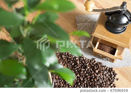 一系列咖啡樹的生長,烘焙和研磨 一系列咖啡樹的生長,烘焙和研磨 67096939