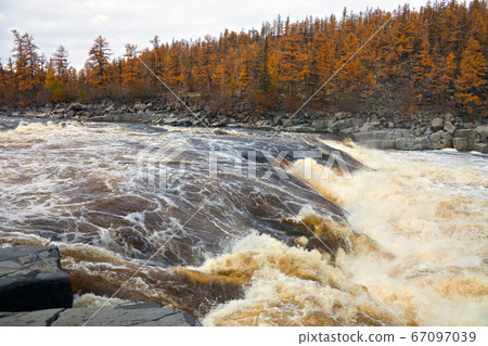 River Moiero and Siberian taiga in the autumn River Moiero and Siberian taiga in the autumn 67097039