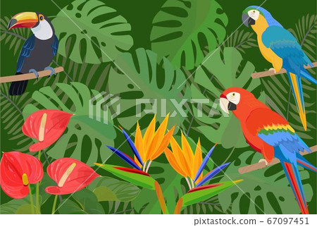 Tropical image 67097451