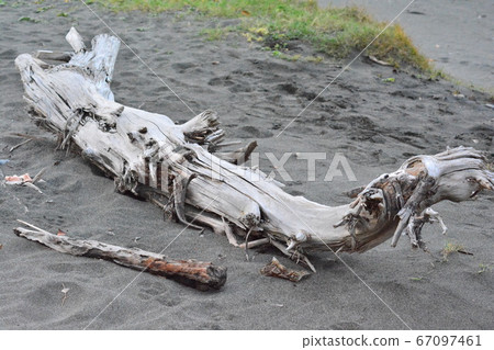 Driftwood Driftwood 67097461