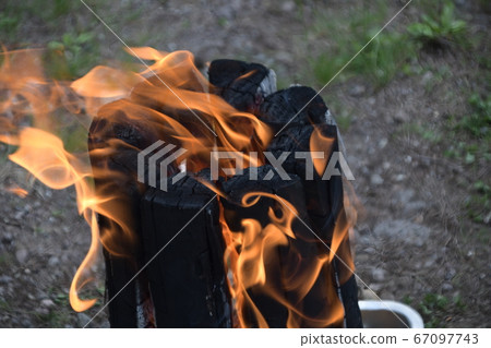 Bonfire flame　 67097743