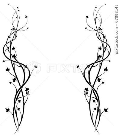 winding plant stretching up on a white background winding plant stretching up on a white background 67098143