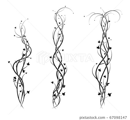 ivy weaving elements for plant decor. new vector ivy weaving elements for plant decor. new vector 67098147