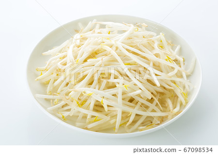 豆芽 豆芽 67098534