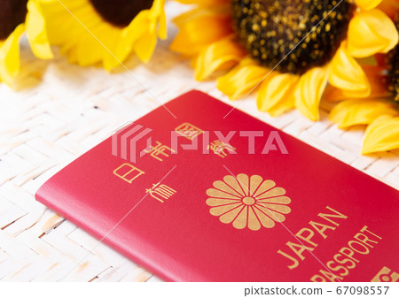 夏季海外旅行計劃護照和向日葵暑假旅行 夏季海外旅行計劃護照和向日葵暑假旅行 67098557