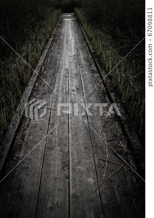 road  67098811