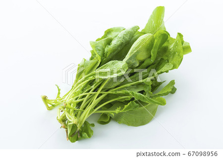 arugula  67098956