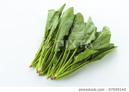 菠菜 67099148
