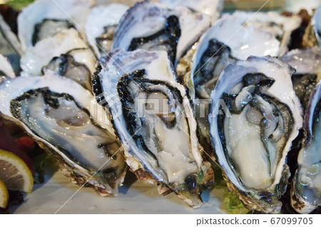 petrification petrification 67099705